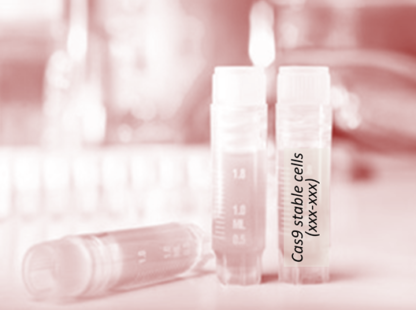 Cas9 Stable Cell Line (Jurkat, Clone E6-1)